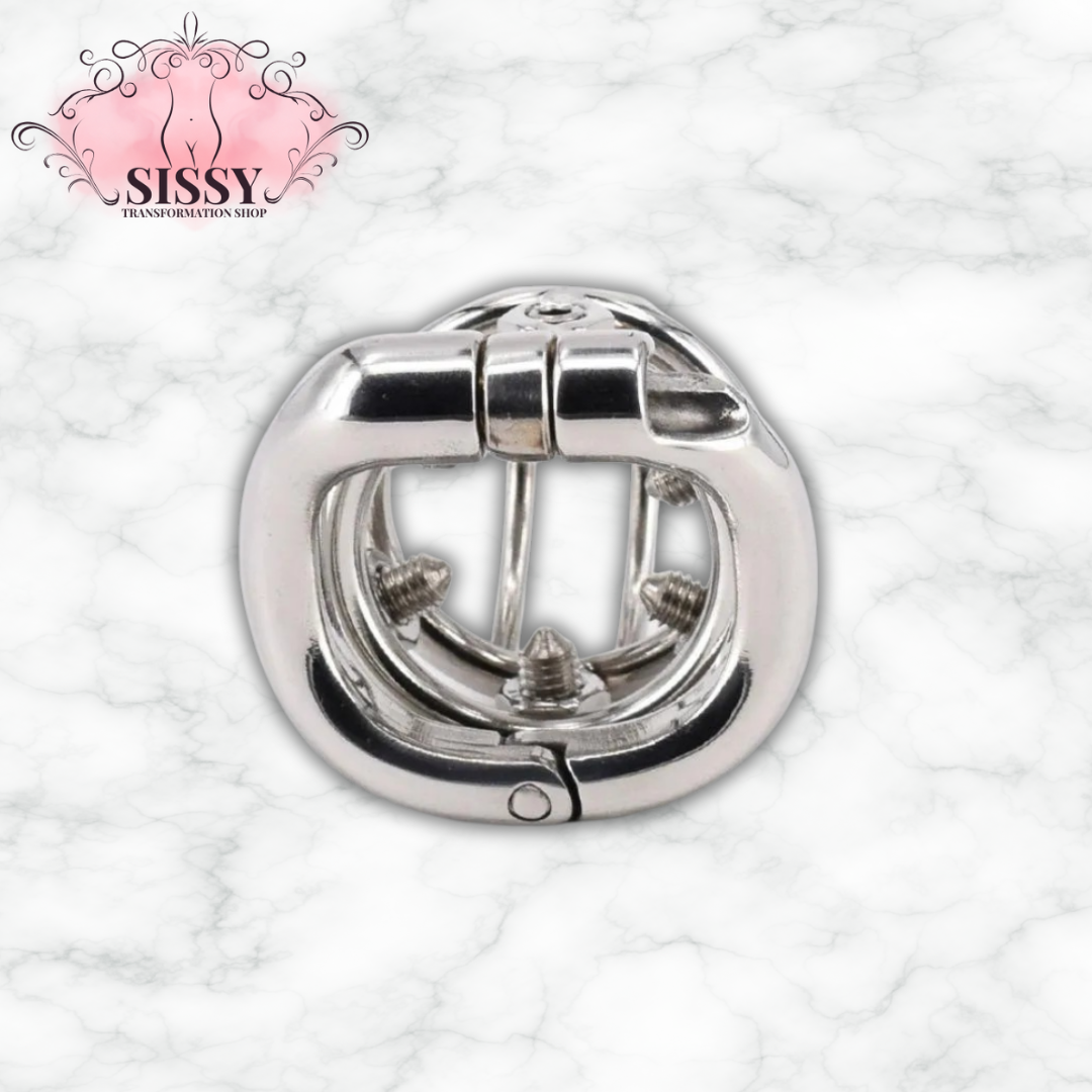 Cage de chasteté homme avec pointes – Acier inoxydable, verrouillage 6 vis