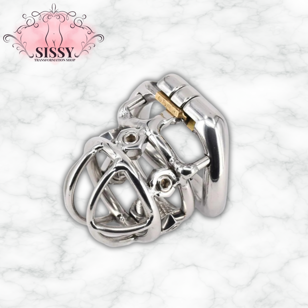 Cage de chasteté homme avec pointes – Acier inoxydable, verrouillage 6 vis