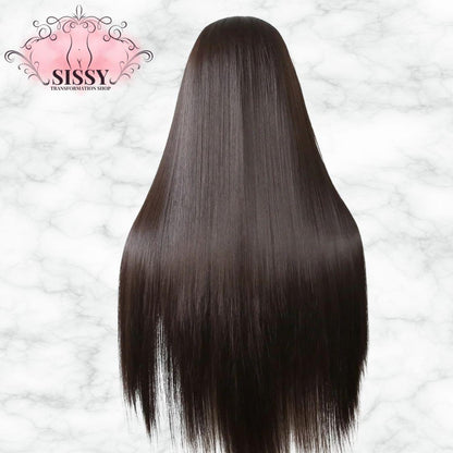 Ashely 13*4 Dark Brown Synthetic Lace Front Wigs Brown Long Straight Lace Front Wig for Women Pre Plucked Natural Hairline