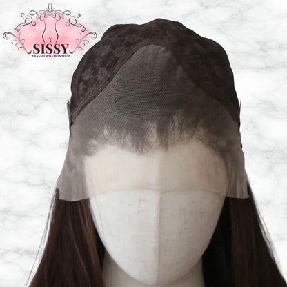 Ashely 13*4 Dark Brown Synthetic Lace Front Wigs Brown Long Straight Lace Front Wig for Women Pre Plucked Natural Hairline