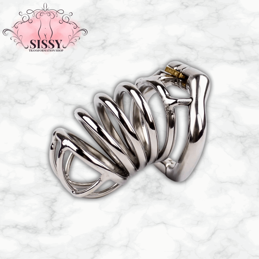 Cage de chasteté en acier inoxydable brillante avec serrure pour contrôle et sécurité
