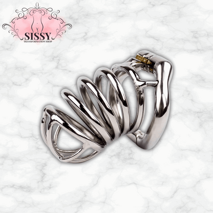 Cage de chasteté en acier inoxydable brillante avec serrure pour contrôle et sécurité