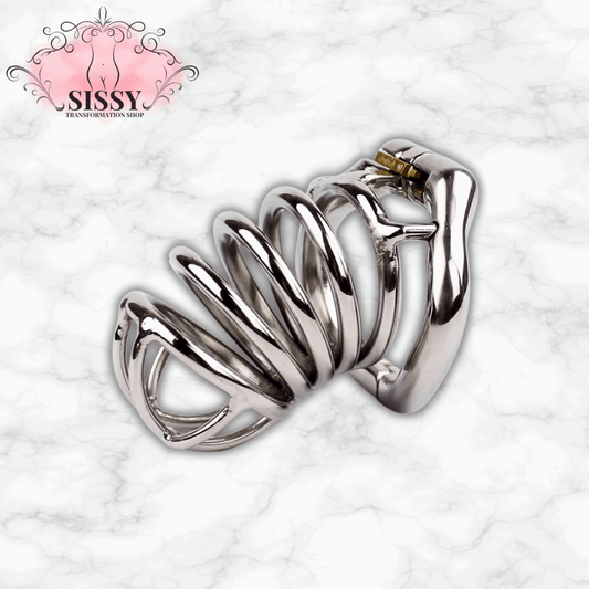 Cage de chasteté en acier inoxydable brillante avec serrure pour contrôle et sécurité