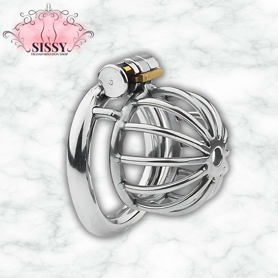 Cage de chasteté Nub en acier brillante avec mécanisme de verrouillage sécurisée pour accessoires