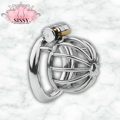 Cage de chasteté Nub en acier brillante avec mécanisme de verrouillage sécurisée pour accessoires