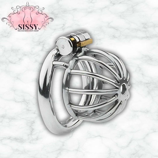 Cage de chasteté Nub en acier brillante avec mécanisme de verrouillage sécurisée pour accessoires